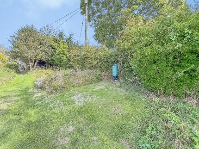 Picture 12